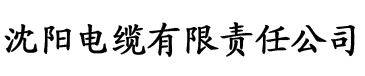 秋霞免费观看电影网站电缆厂logo